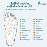 Pedora Manyetik Tabanlık